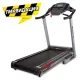Беговая дорожка BH FITNESS PIONEER R7