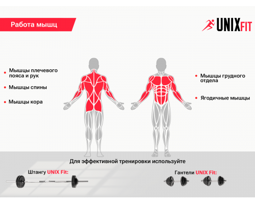 Скамья силовая универсальная UNIX Fit BENCH 130