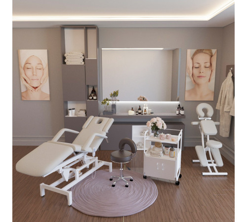 Массажный стол многофункциональный электрический Элегия-3А (МД-849), 3 мотора