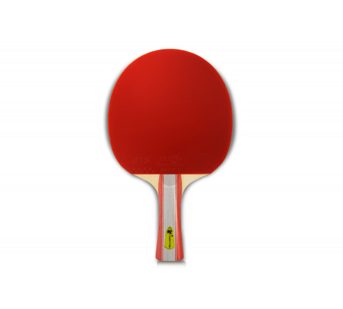 Теннисная ракетка Start line J1